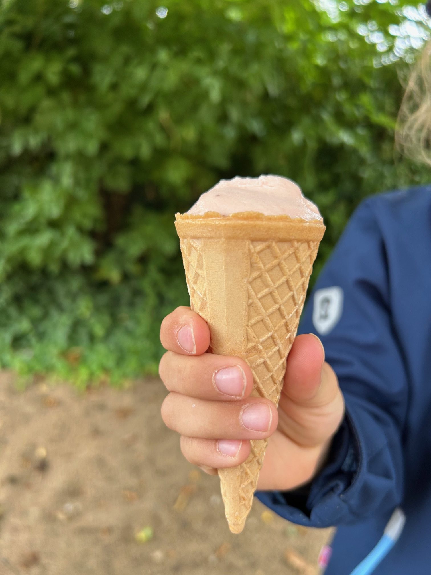 Eine Hand hält ein leckeres Eis.